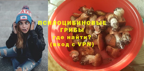гашиш Вяземский